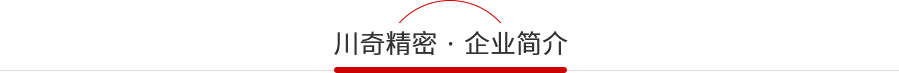 川奇公司簡介 川奇公司簡介